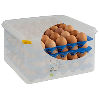 Контейнер для хранения яиц 35,4*32,5 см. h= 20 см. 8 лотков с крышкой APS /1/6/
