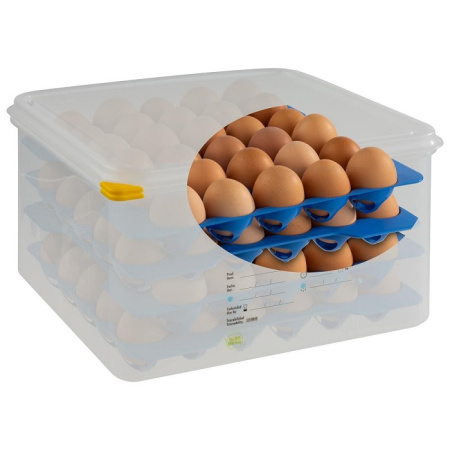 Контейнер для хранения яиц 35,4*32,5 см. h= 20 см. 4 лотка с крышкой APS /1/6/